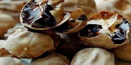 تصویر 3 از فروش لیمو سیاه عراقی + قیمت خرید به صرفه